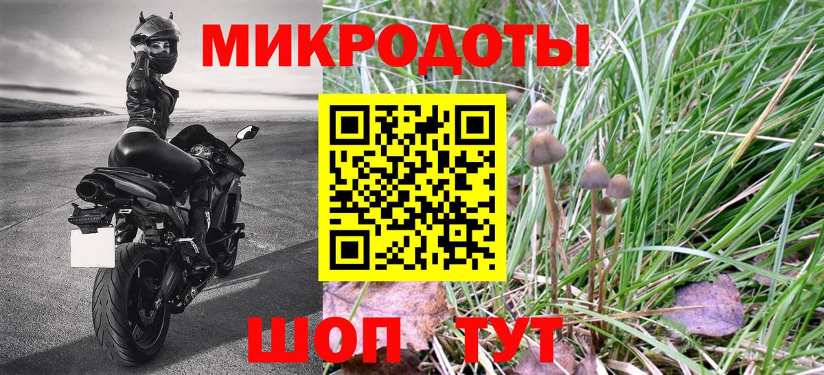 Псилоцибиновые грибы прущие грибы Стрежевой