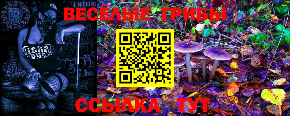 что такое   Псилоцибиновые грибы Psilocybe  Вход с VPN  Стрежевой 